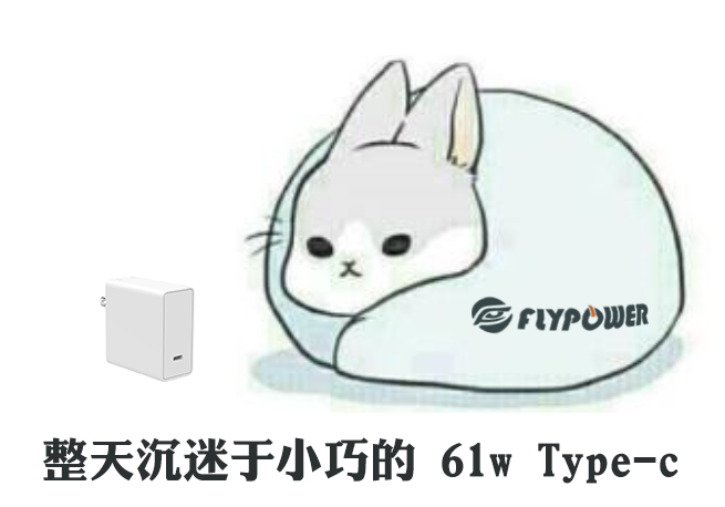 你還在用轉(zhuǎn)接頭嗎？—飛天鷹Type-C充電器廠家