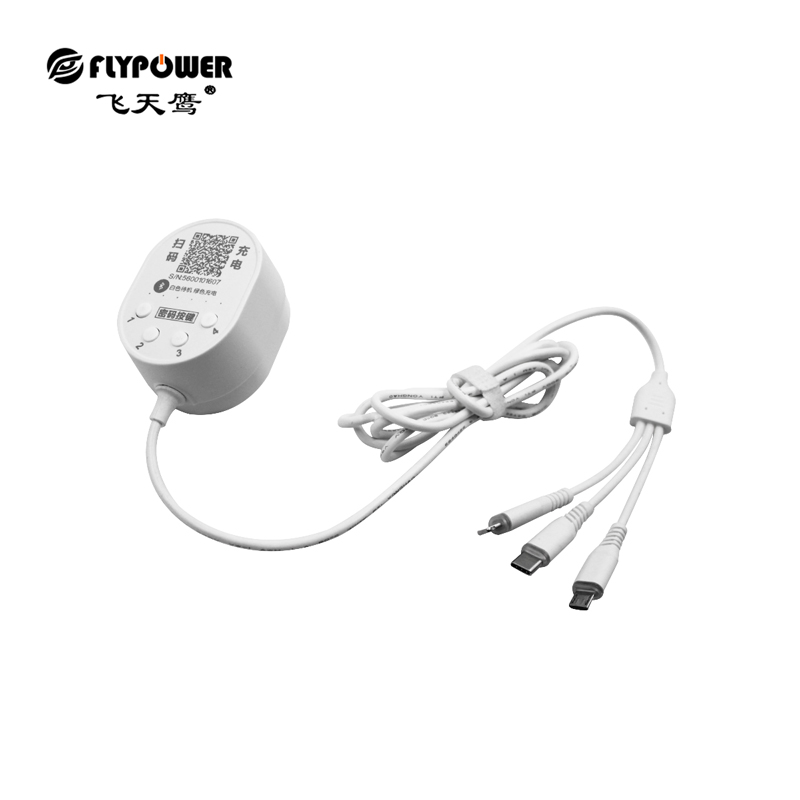 共享充電線：小項目，賺大錢